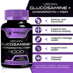 WELLNESS LABSRX Glucosamine Chondroitin MSM ingredient visual for joint support.