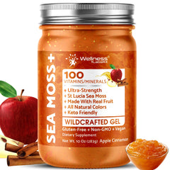 Wellness LabsRx Irish Sea Moss Gel Apple Cinnamon jar for daily nutrient boost.