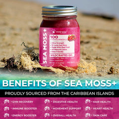 Wellness LabsRX Irish Sea Moss Gel jar closeup shows rich color and texture.