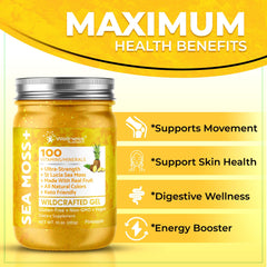 Wellness LabsRx sea moss gel pineapple flavor label, easy addition to meals.