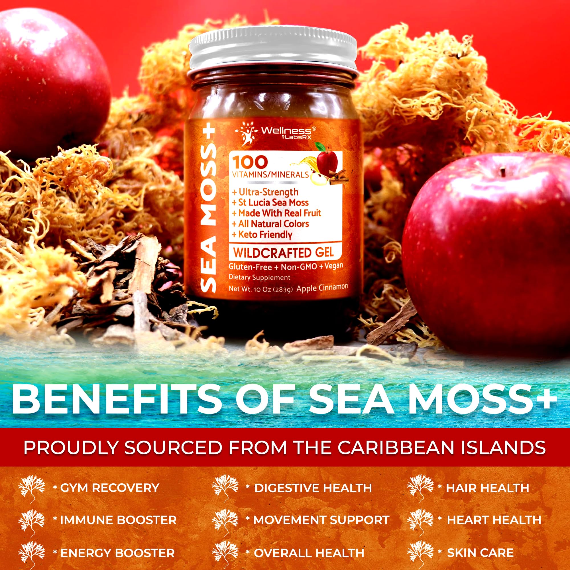 Wellness LabsRx Irish sea moss gel texture close-up emphasizing purity and natural form.