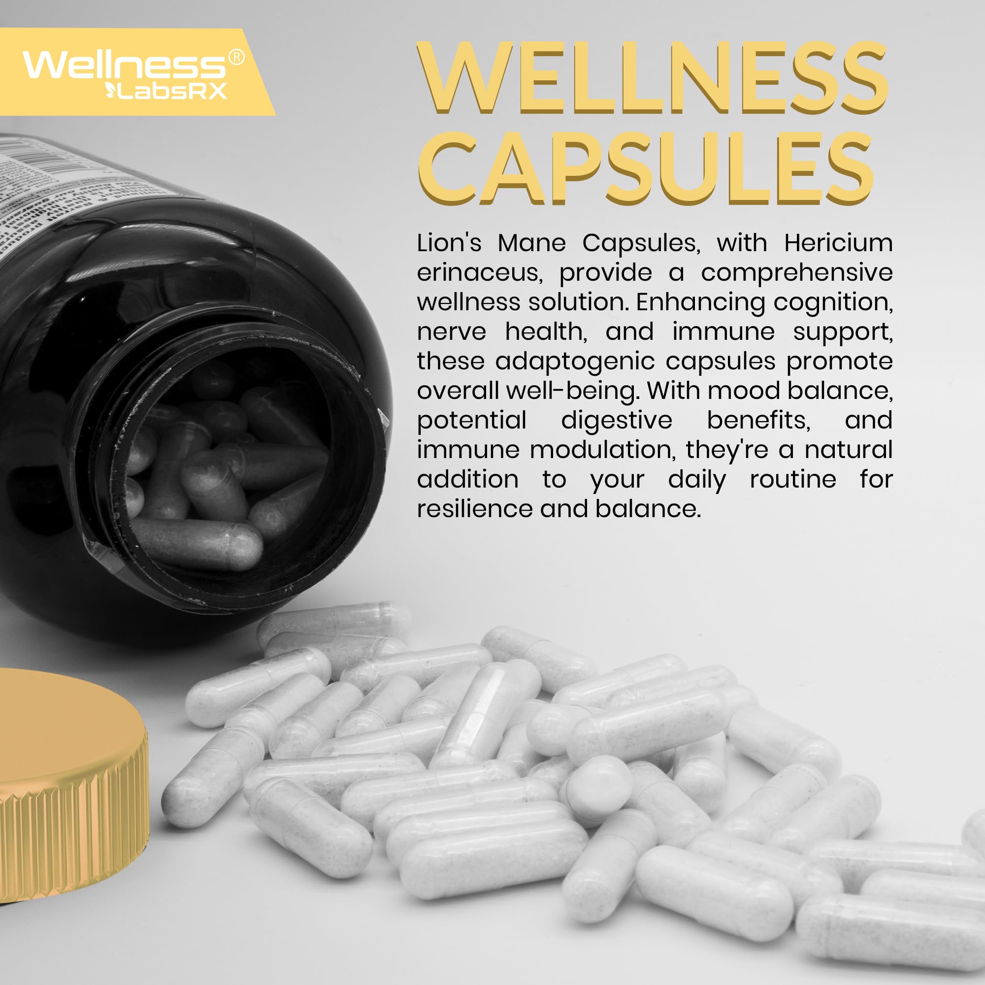 WELLNESS LABSRX Lions Mane capsules ingredient panel shows organic Lion's Mane and beta-glucans.