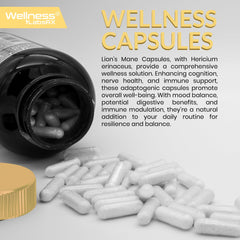 WELLNESS LABSRX Lions Mane capsules ingredient panel shows organic Lion's Mane and beta-glucans.