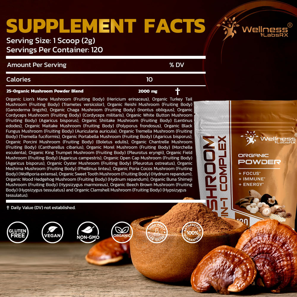 Lion's Mane and Cordyceps for brain support and daytime energy