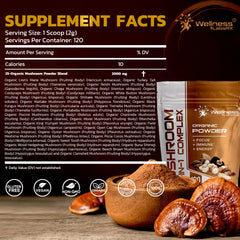 Lion's Mane and Cordyceps for brain support and daytime energy