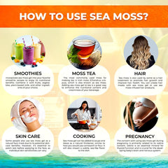 WELLNESS LABSRX pineapple mango flavor drizzle suggests tasty way to enjoy sea moss.