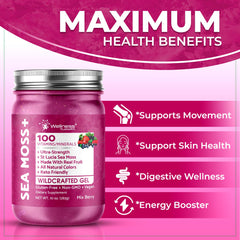 Wellness LabsRX Irish Sea Moss Gel bottle and spoon for convenient daily use.