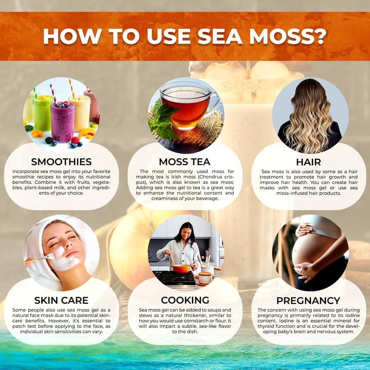Wellness LabsRx sea moss gel spoon serving for quick nutrient addition.