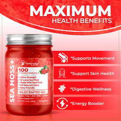 Wellness LabsRx sea moss gel strawberry jar for convenient daily use.