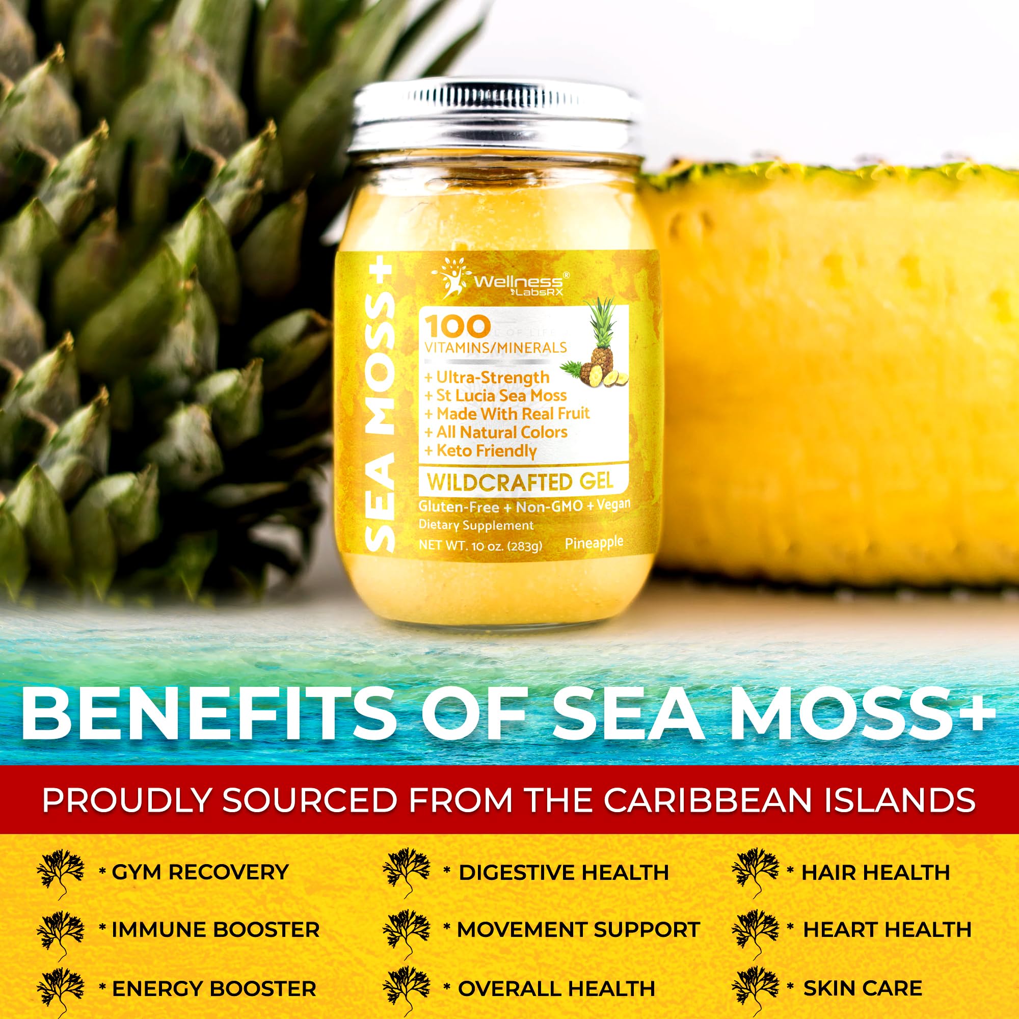 Wellness LabsRx sea moss gel jar with spoon ready for daily use.