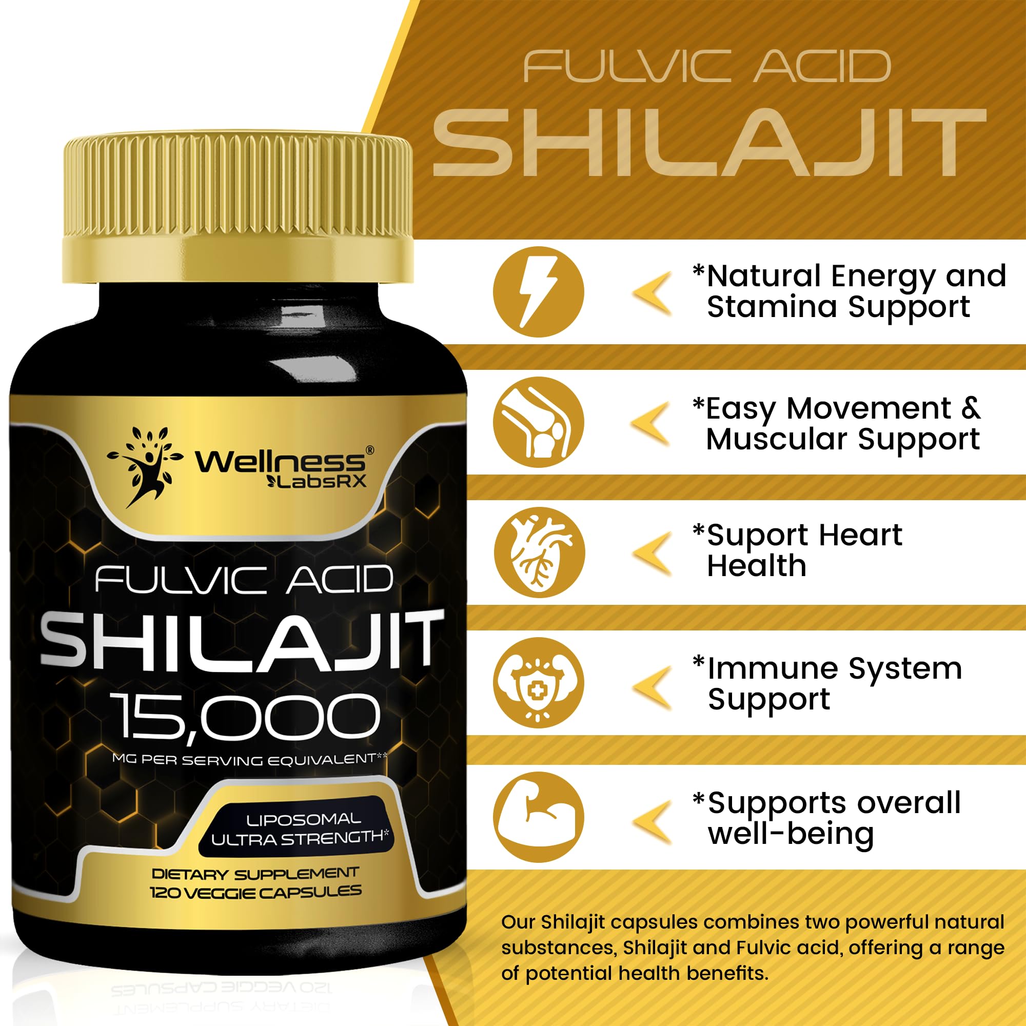 Wellness LabsRx Himalyan Shilajit 10:1 extract potency graphic