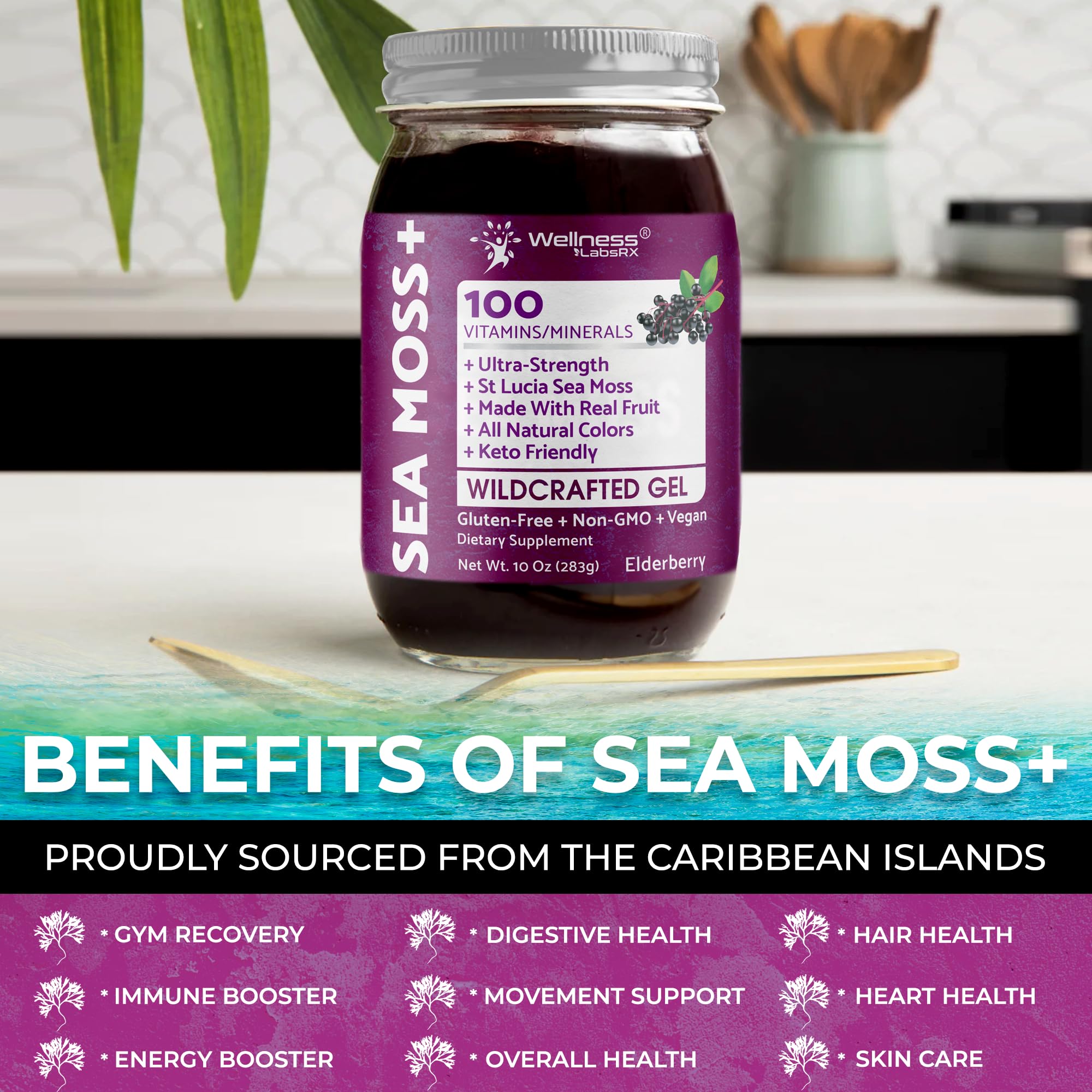 WELLNESS LABSRX Smoothie bowl scene, sea moss adds nutrition to breakfast.