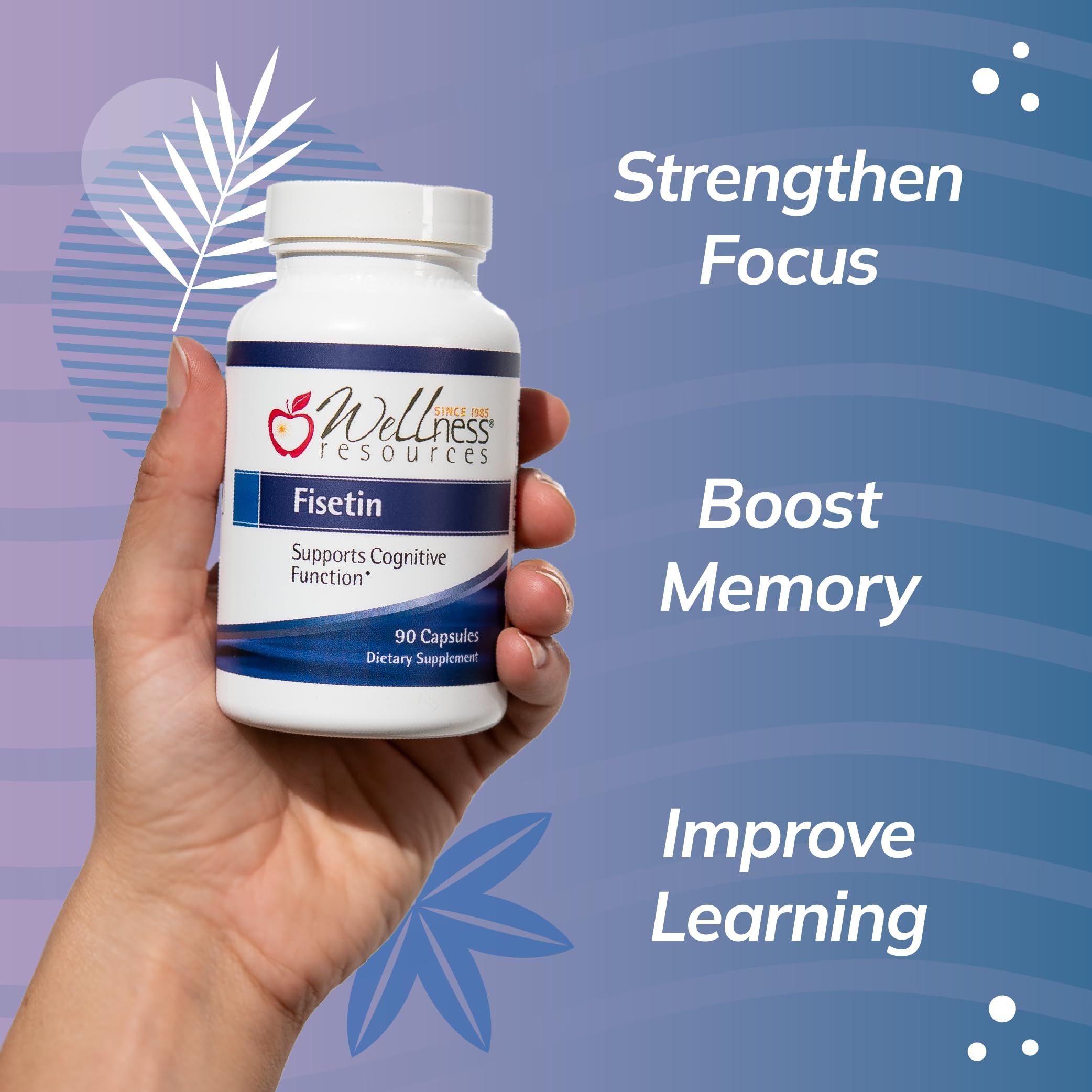 Wellness Resources Fisetin capsules close-up for easy daily intake.
