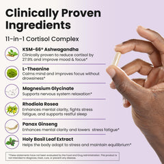 WellPath Soothe capsules spill shows easy-to-take daily softgels.
