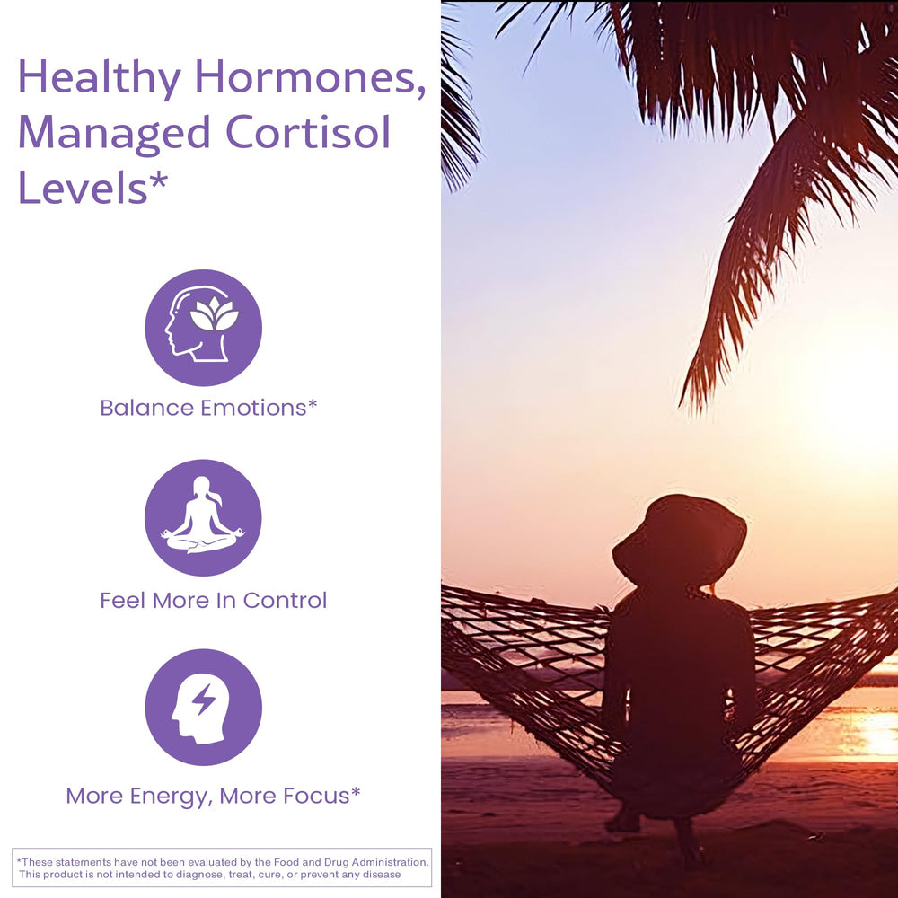 WellPath Soothe morning routine scene suggesting steady energy support.