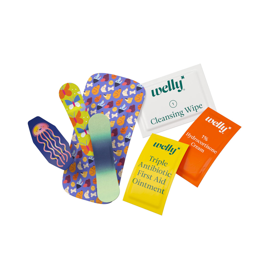 Welly First Aid Kit triple antibiotic ointment packets for quick care
