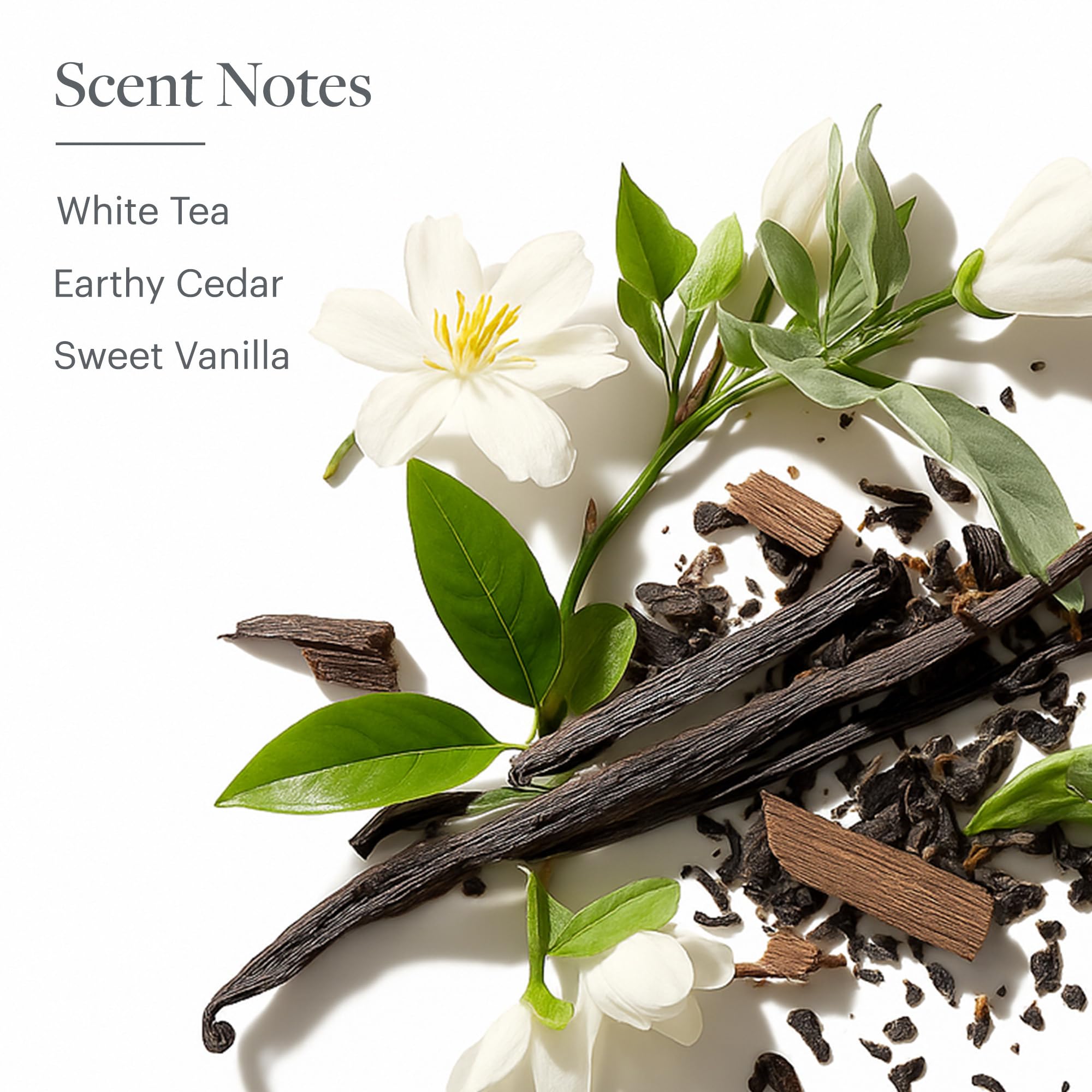 Westin White Tea Diffuser packaging and cartridge included for easy setup