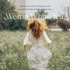 Westin White Tea diffuser ScentWave technology, dry-air diffusion, mess-free