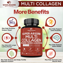 Wholesome Wellness bone broth blend featuring collagen types I and III for connective support