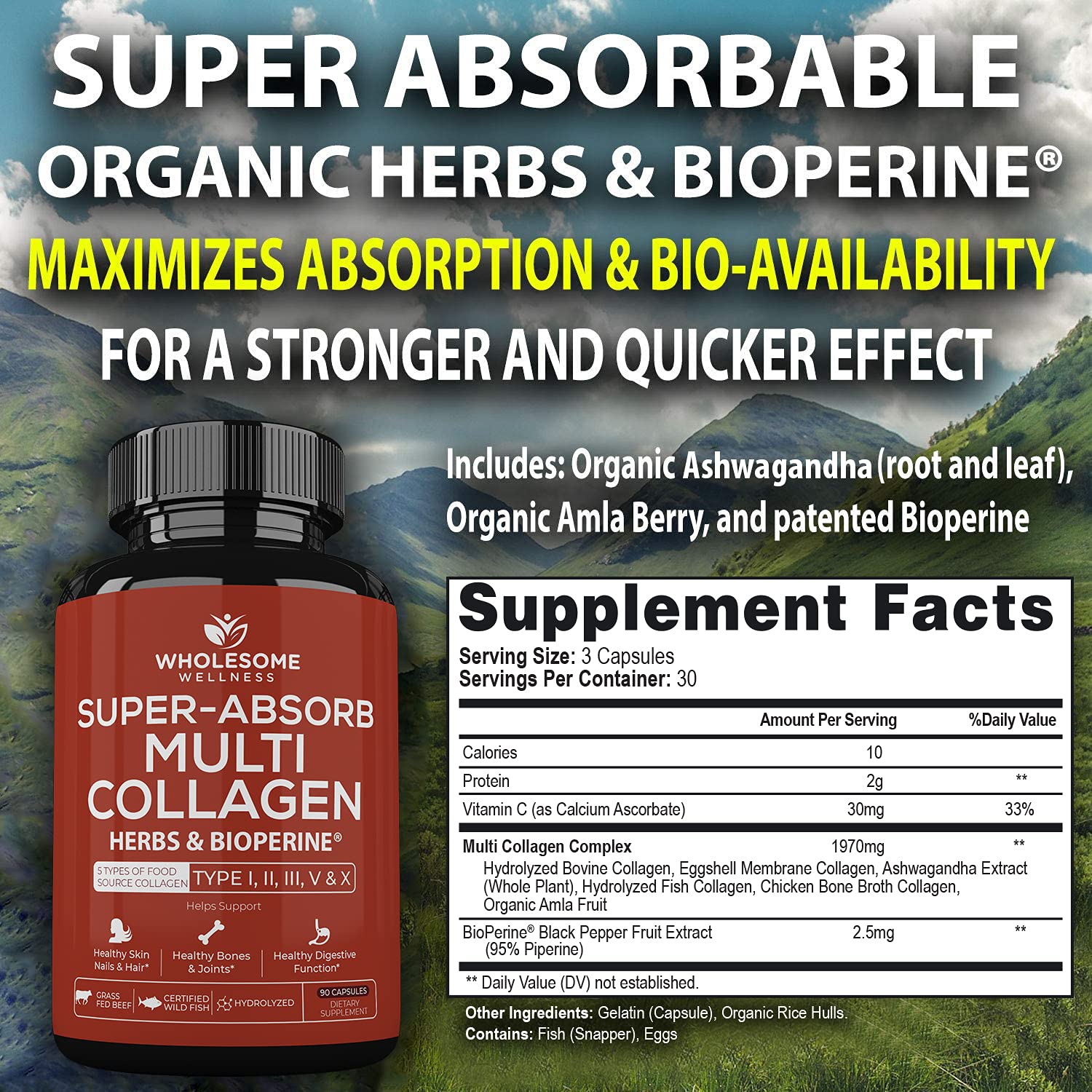 Wholesome Wellness capsules closeup highlighting all-in-one collagen for daily wellness