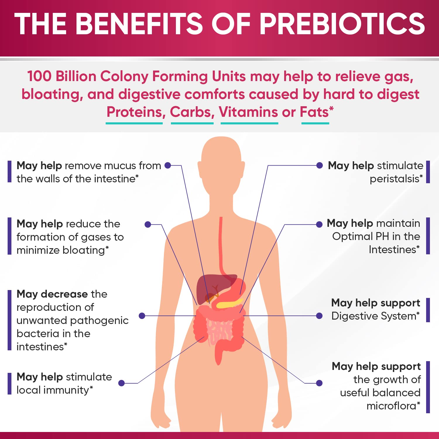 Wholesome Wellness Dr. Formulated Raw Probiotics for Women ingredient view features organic prebiotics and digestive enzymes.