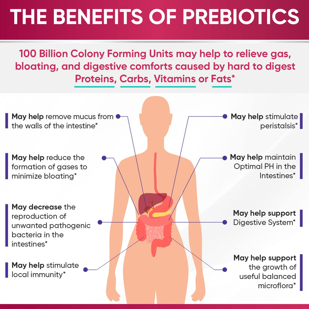 Wholesome Wellness Dr. Formulated Raw Probiotics for Women ingredient view features organic prebiotics and digestive enzymes.