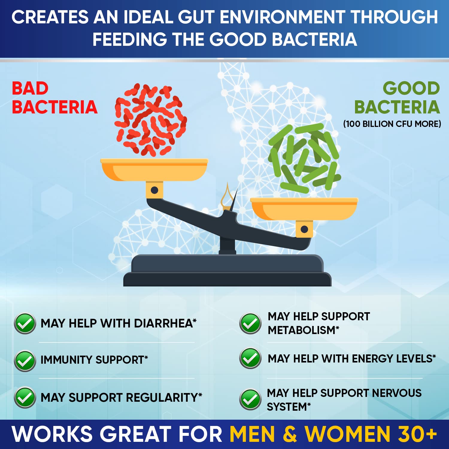 Wholesome Wellness image of prebiotics and enzymes in the formula