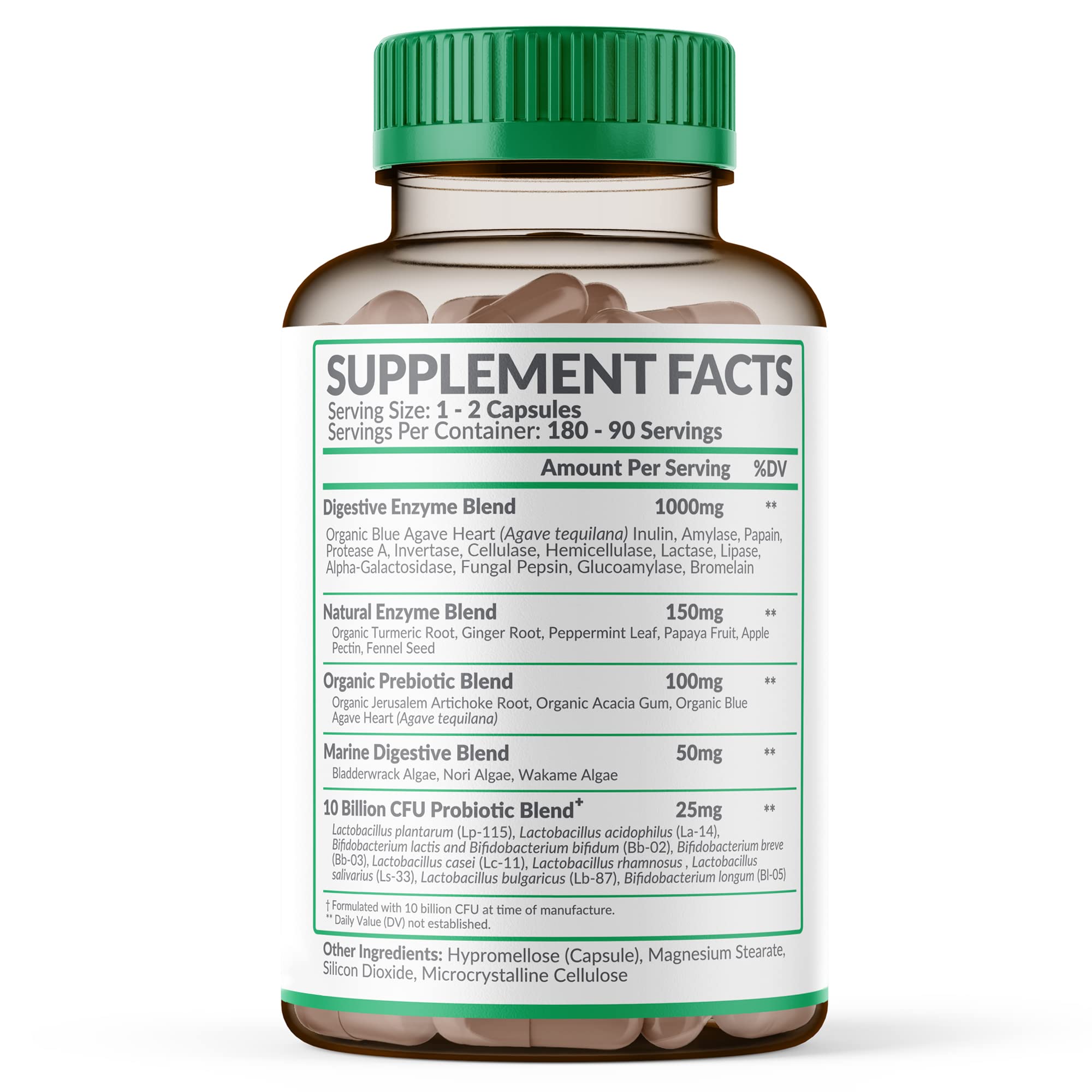 Wholesome Wellness probiotic capsules close-up for gut-friendly daily support