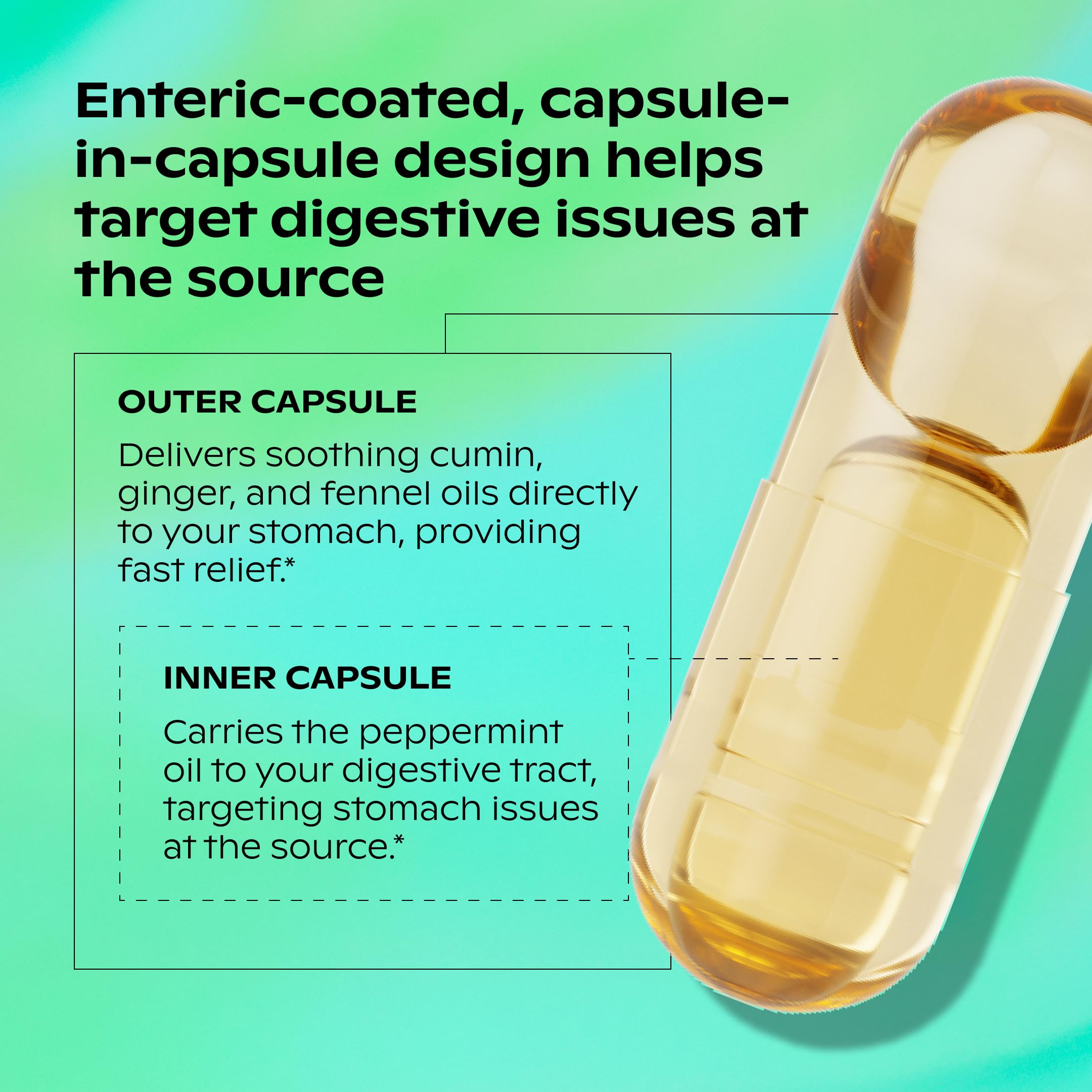 Wholier inner capsule close-up illustrating targeted relief to the stomach.