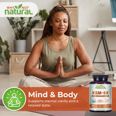 Why Not Natural Ashwagandha KSM66 packaging on a clean shelf.
