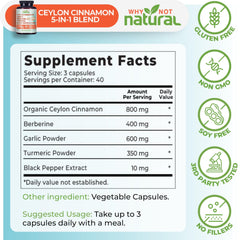 Why Not Natural berberine capsules emphasizing metabolism support and antioxidant potential.