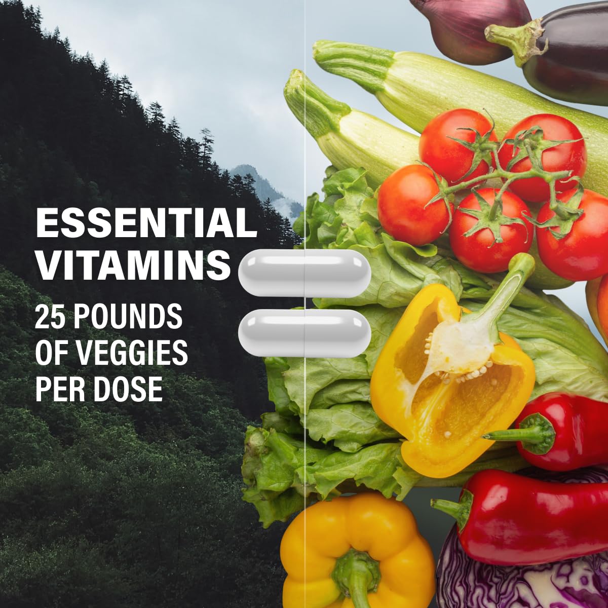 Two-pack Wild Foods methylated multivitamin boxes.