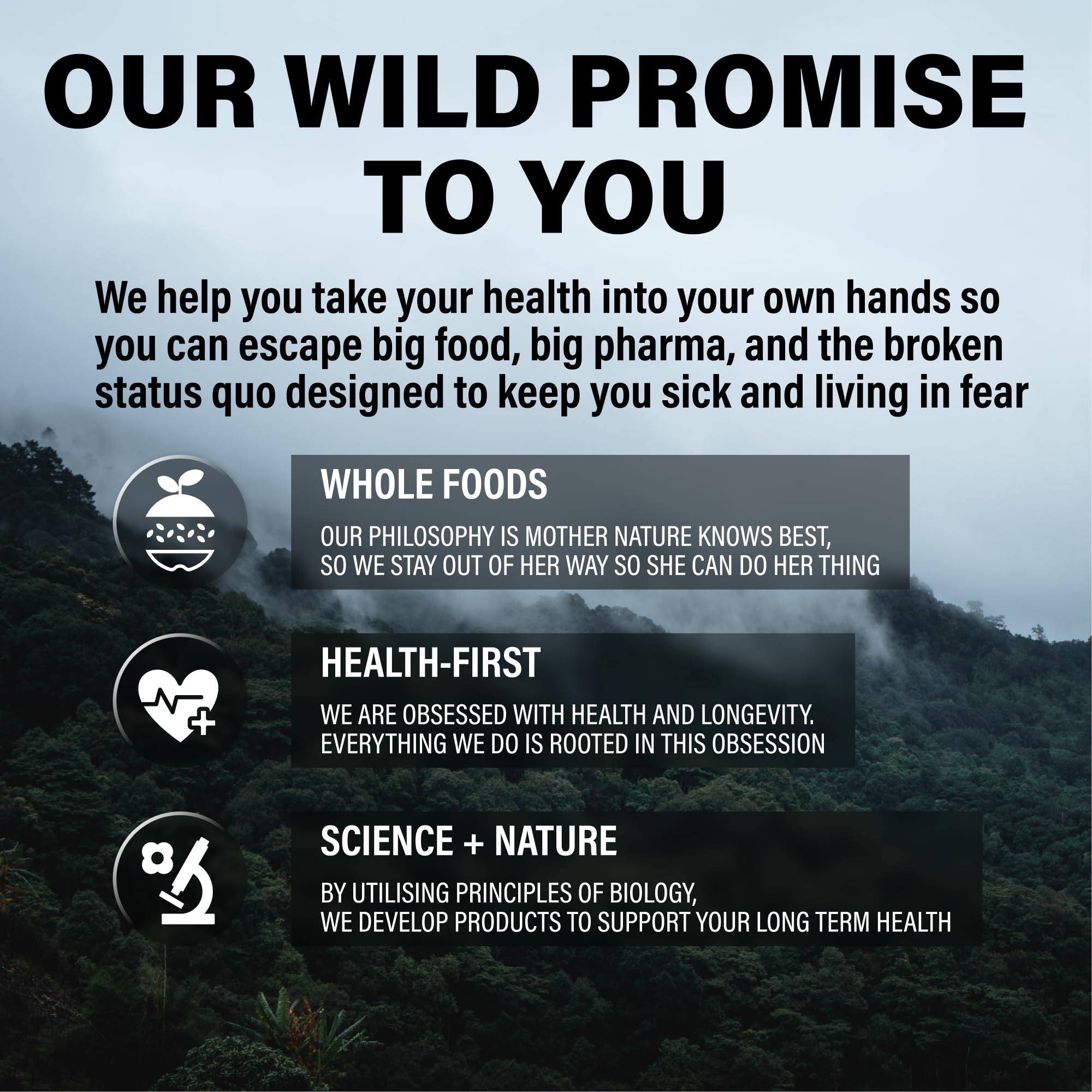 Morning routine with Wild Foods multivitamin on a clean surface