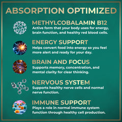 Wild Fuel B12 methylcobalamin liquid supplement supports energy and mood.