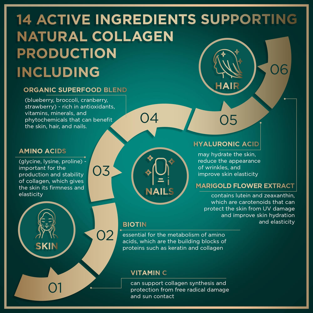 WILD FUEL hyaluronic acid element illustration emphasizing potential collagen-friendly pathways