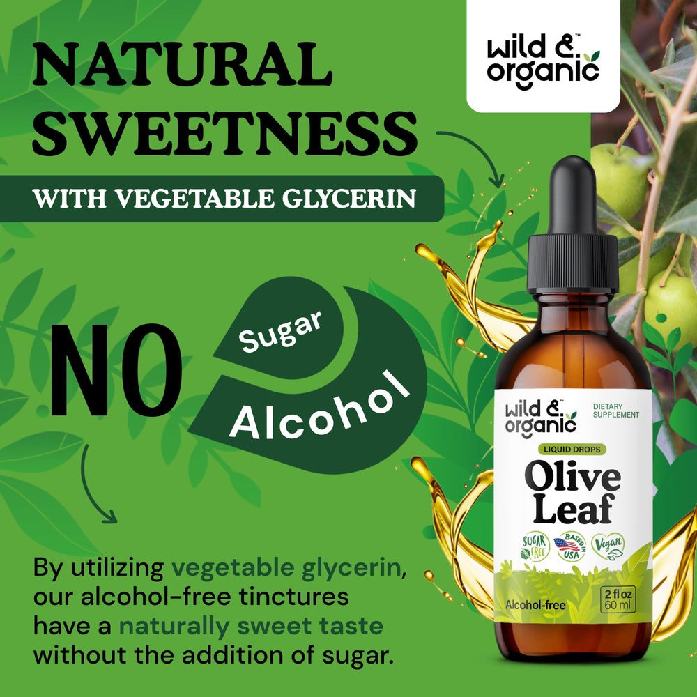 Wild & Organic olive leaf extract bottle 2 oz showcases bottle size
