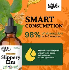 Wild & Organic slippery elm ingredients vegan highlight plant-based tincture for daily wellness