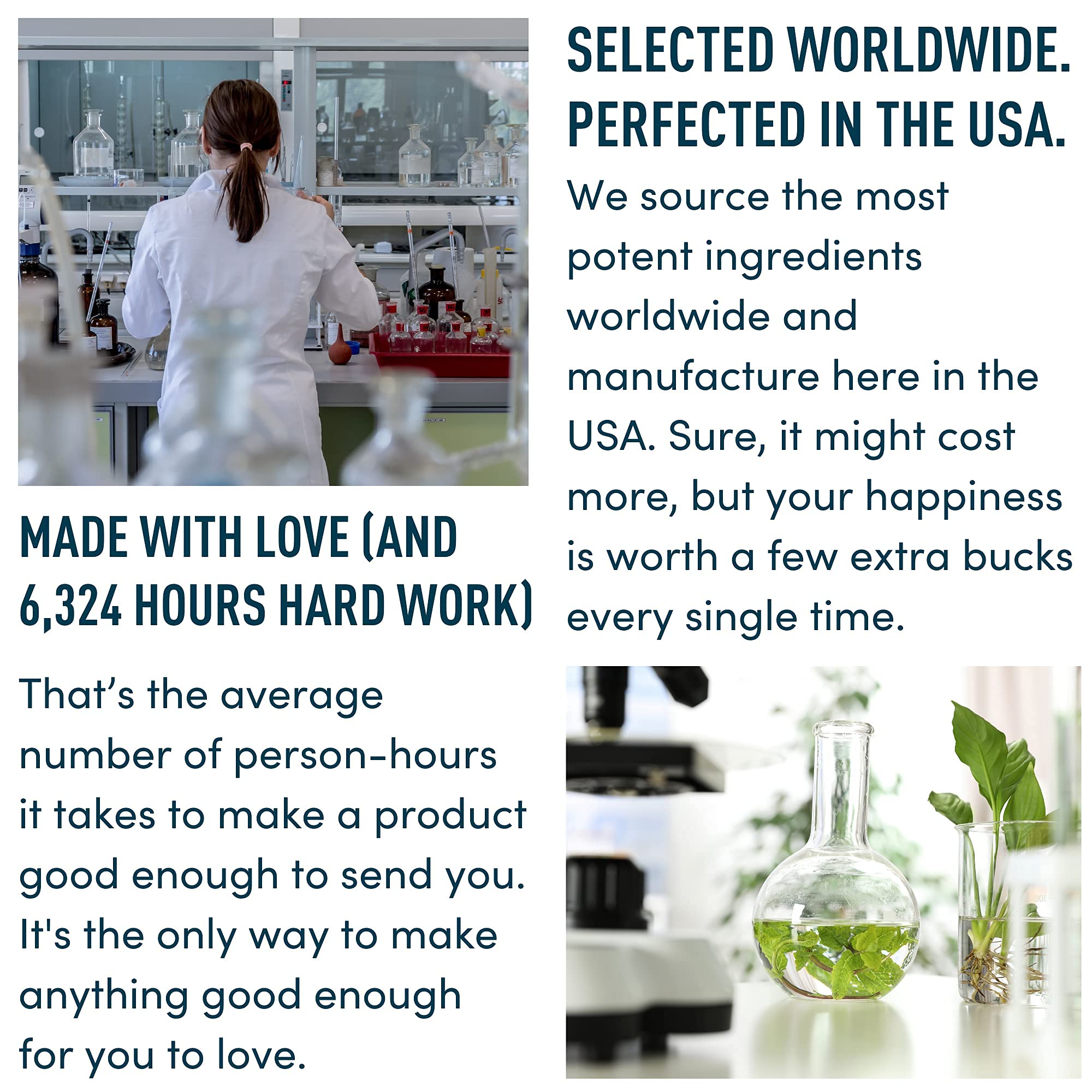 Windsor Botanicals daily-use B12 liquid supporting mood and focus