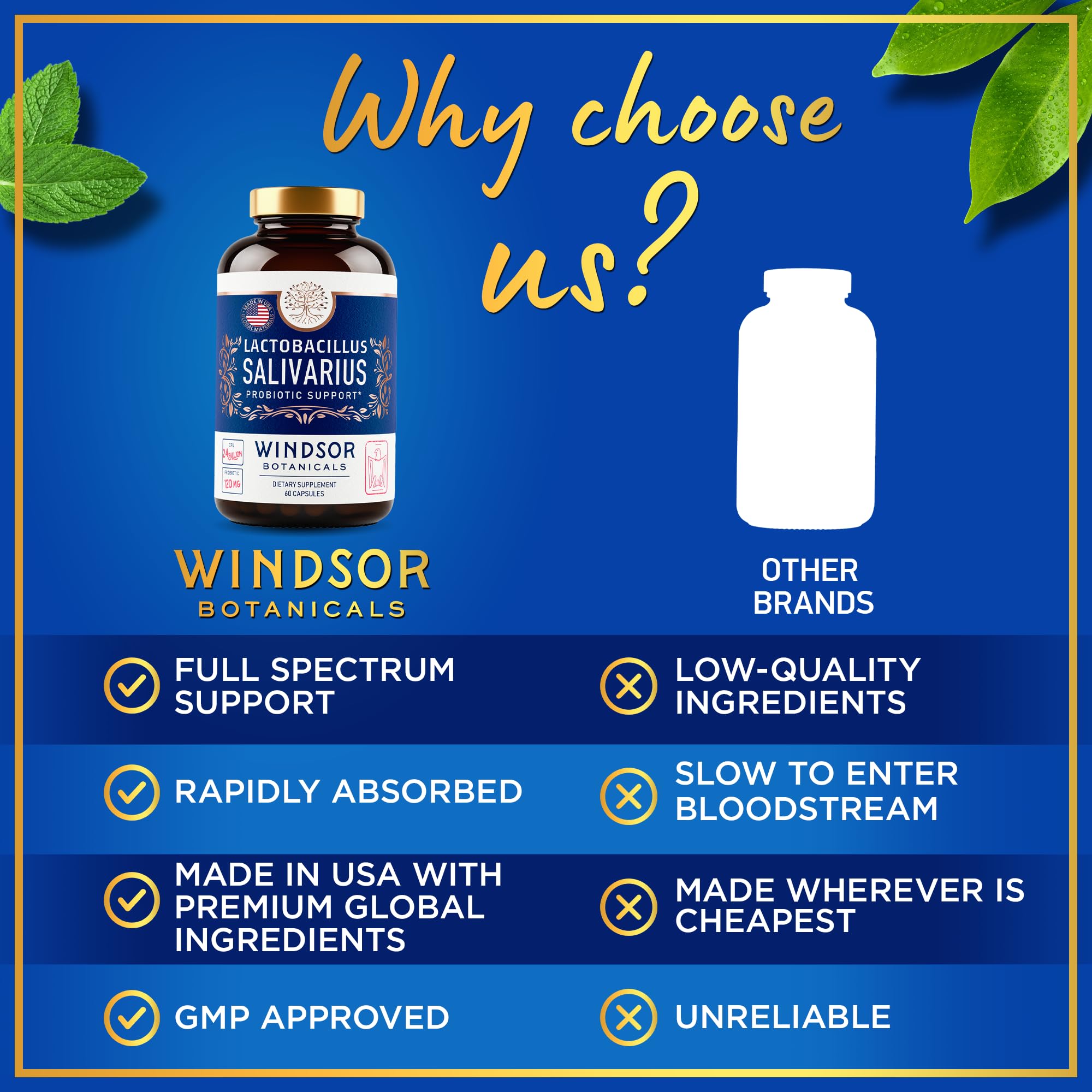 Windsor Botanicals dental probiotic for teeth and gums support.