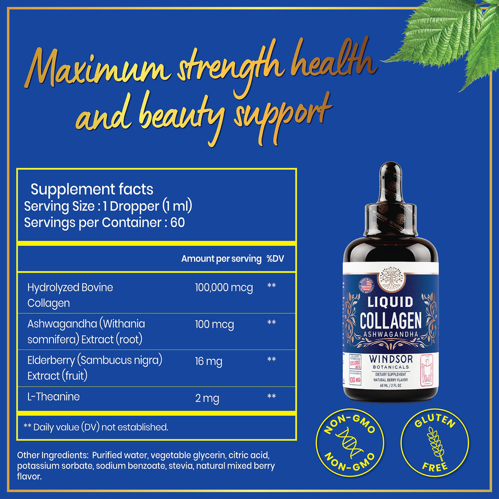WINDSOR BOTANICALS elderberry extract enhances daily wellness routine.