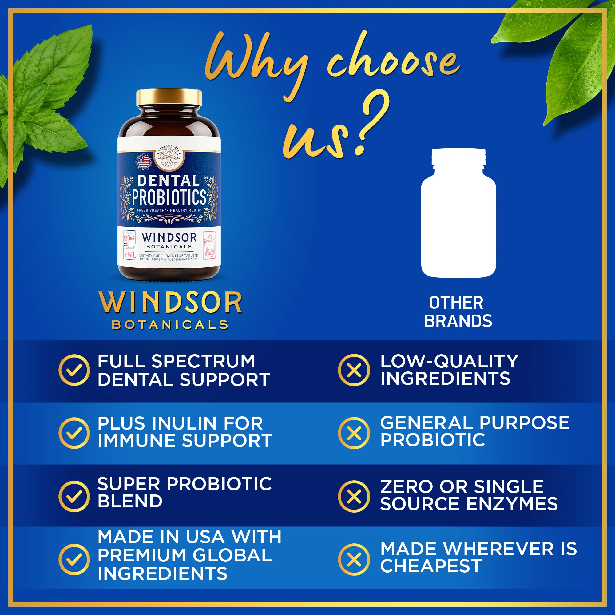 WINDSOR BOTANICALS gum-health-support-tablets focusing on gum comfort