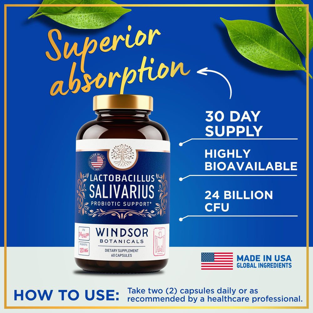 Windsor Botanicals Lactobacillus Salivarius dispensed capsules for daily oral care.