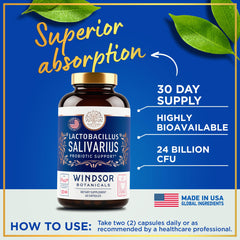 Windsor Botanicals Lactobacillus Salivarius dispensed capsules for daily oral care.