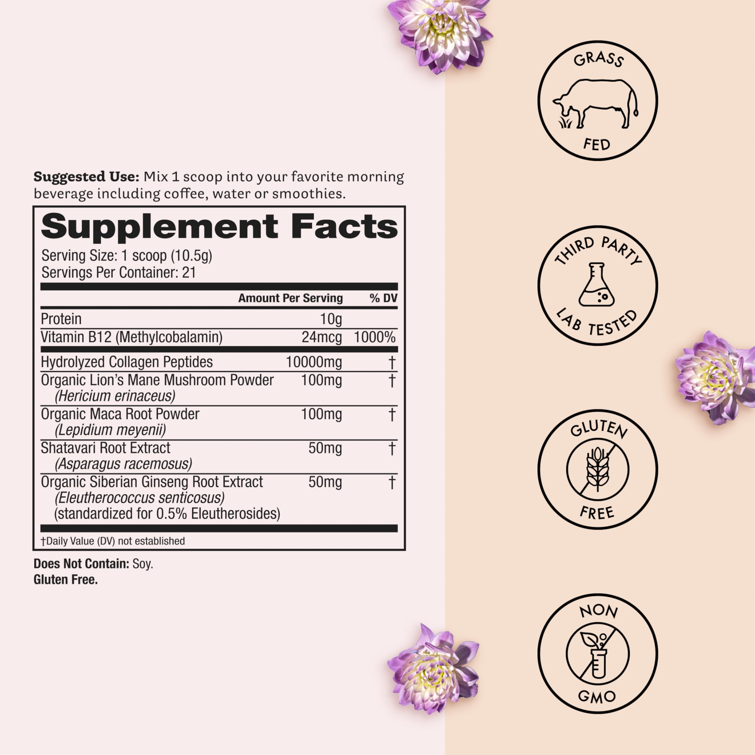 Winged Wellness Glow Up AM maca root focus image suggests natural energy.