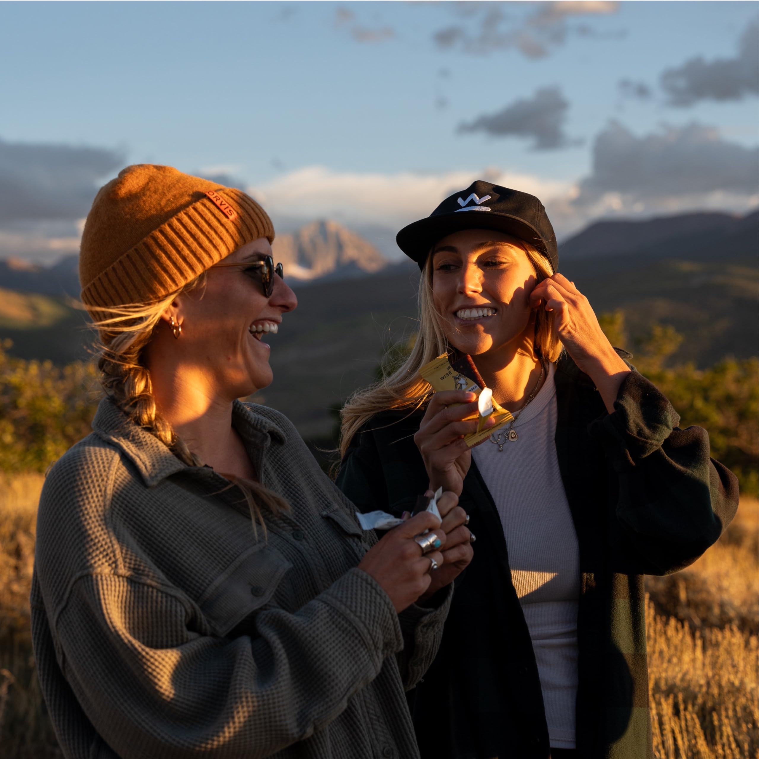 WISE BAR on-the-go snack image suitable for travel and workouts.