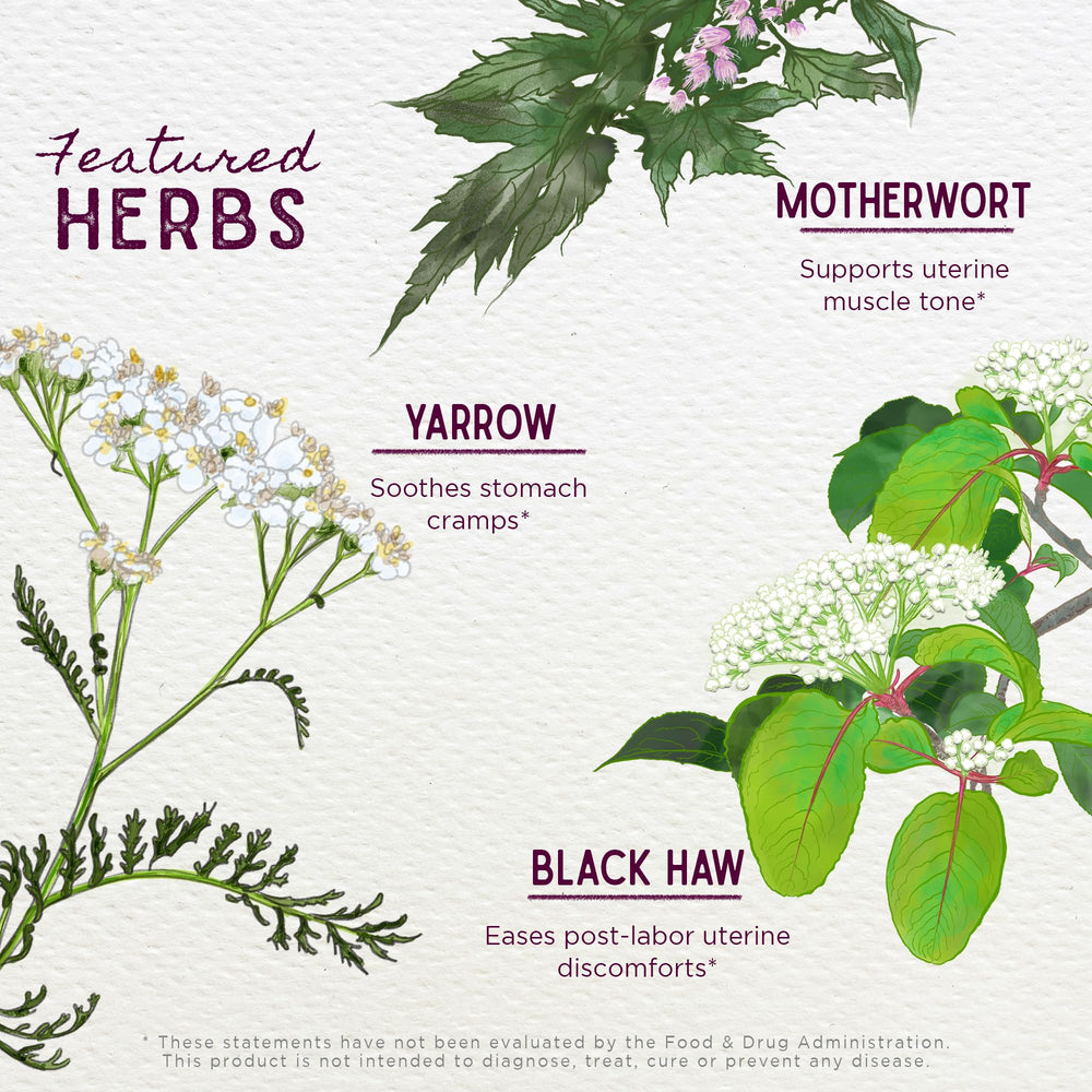 WishGarden AfterEase organic ingredients illustrating non-GMO, vegan blend.