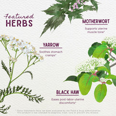 WishGarden AfterEase organic ingredients illustrating non-GMO, vegan blend.