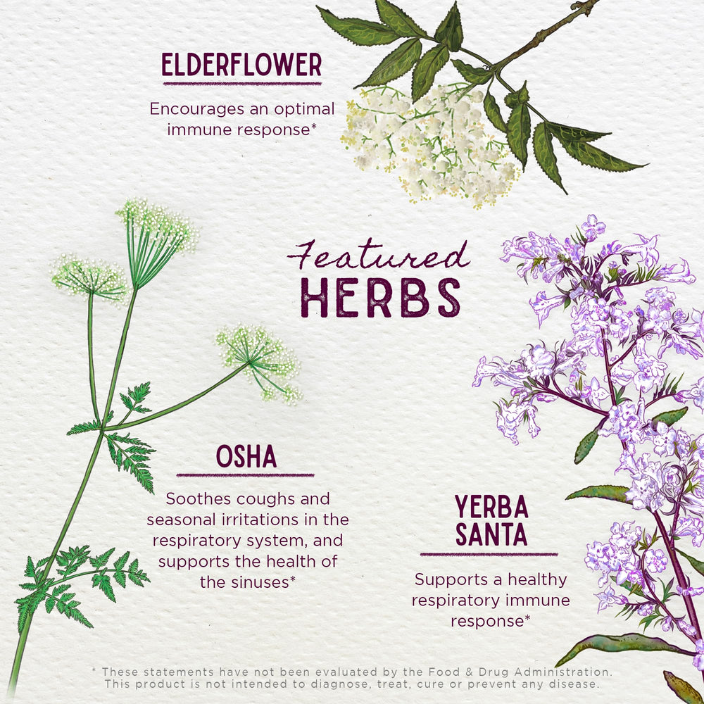 Close-up of Elder Flower and Echinacea in Kick-It Immune for Kids.