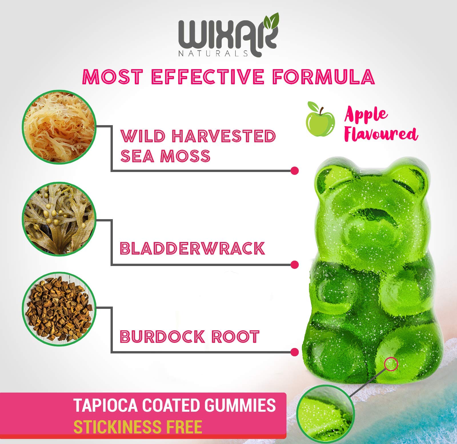 Glass bottle with spoon of WIXAR NATURALS Sea Moss Gummies for easy serving