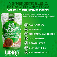 Wixar Naturals Ten Treasure Mushrooms Powder in hot cocoa for daily wellness